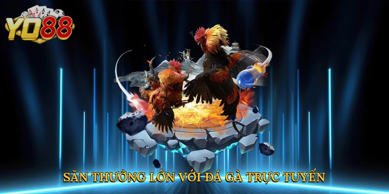 Săn thưởng lớn với đá gà trực tuyến