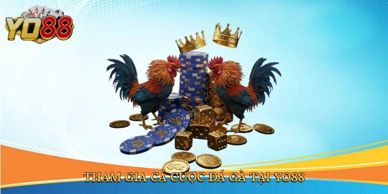 Tham gia cá cược đá gà tại Yo88
