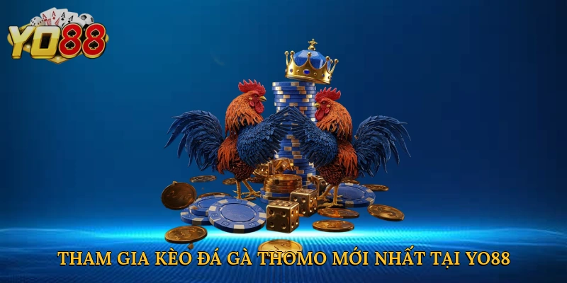 Tham gia kèo đá gà Thomo mới nhất tại Yo88